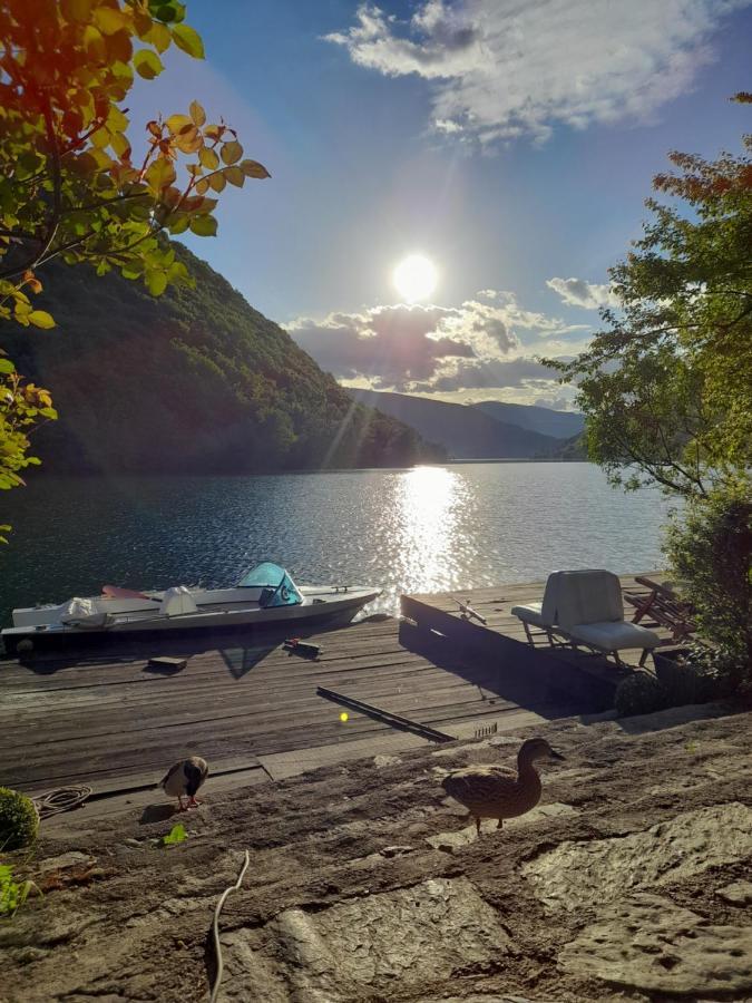 Forest Dream Lake House Яйце Екстериор снимка